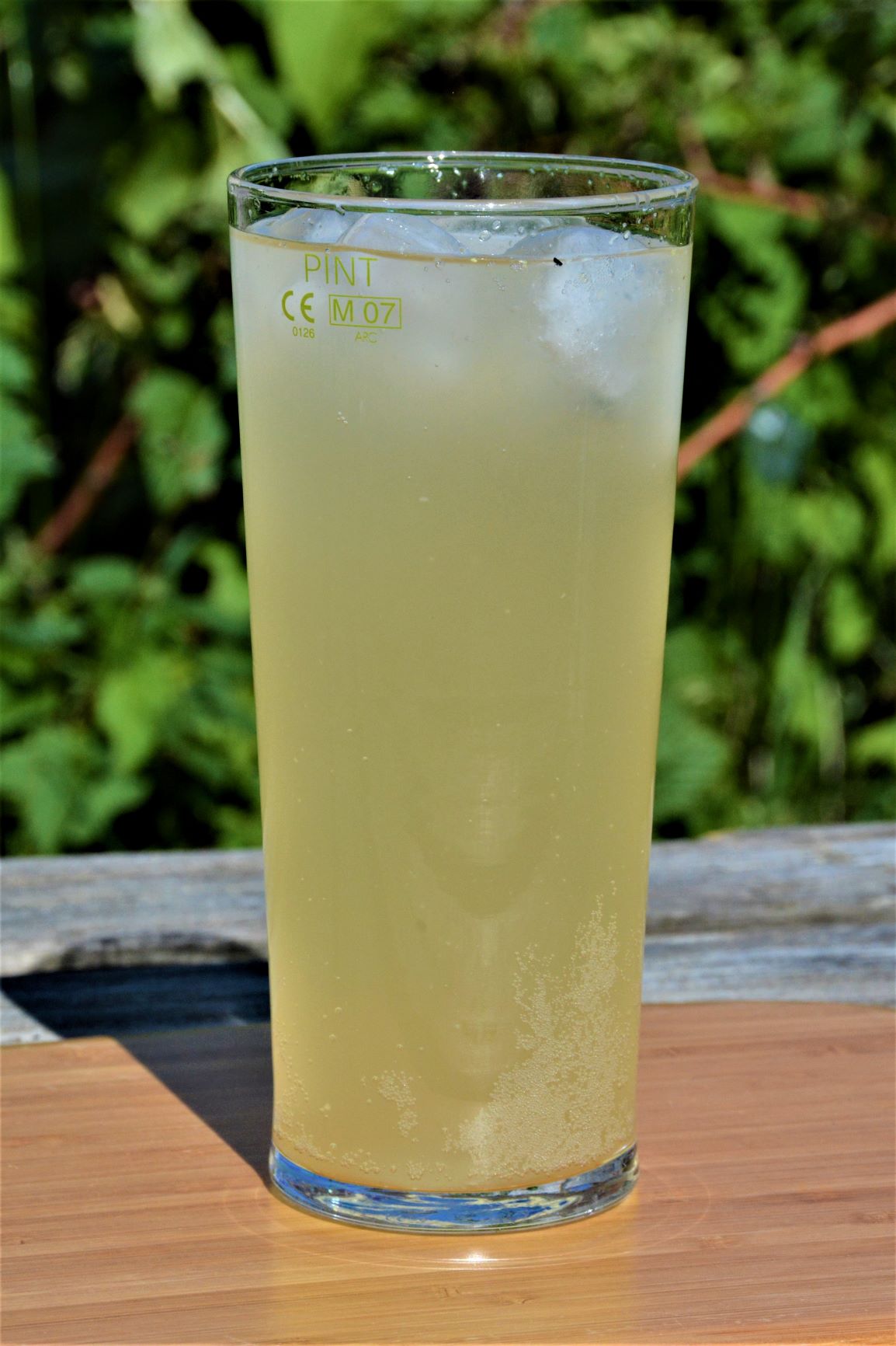 Elderflower Soda