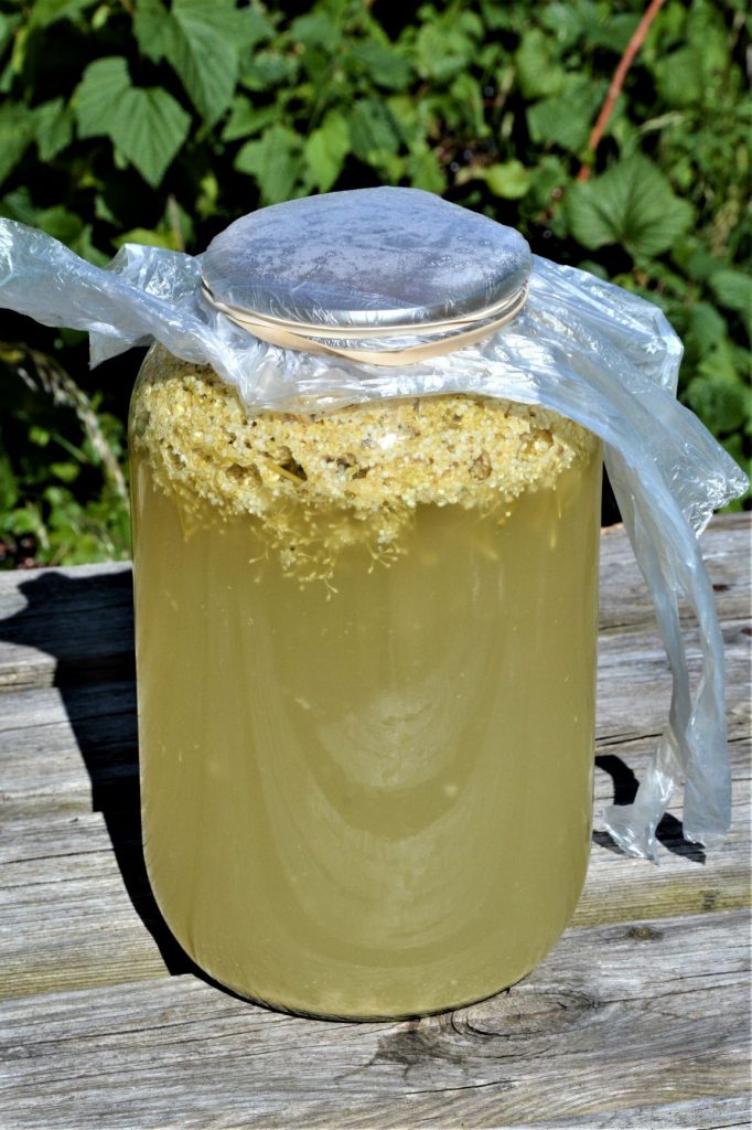 Elderflower soda in a big jar