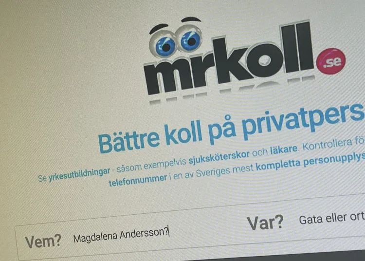 Utmaningar för Sveriges söktjänster efter juridiskt klagomål