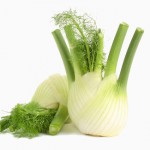 Fenchel