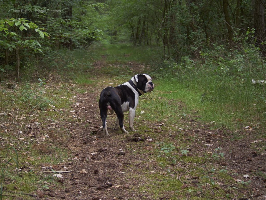 Dakota_Home_!5Mai2016 32