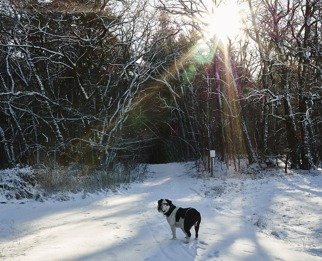 …der Montag im Dakota Home