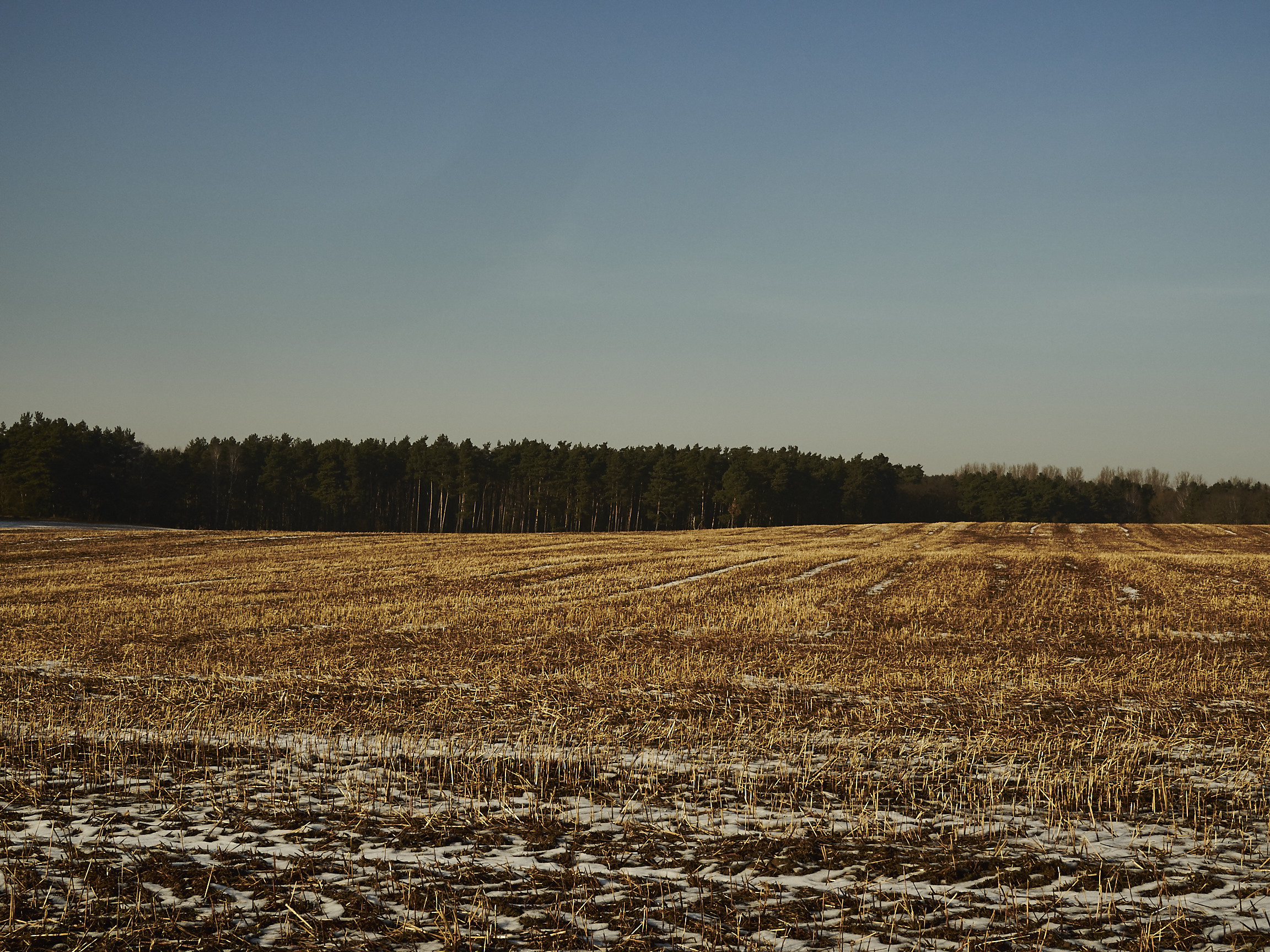 Sonne, Sonne, Sonne…at Dakota Home