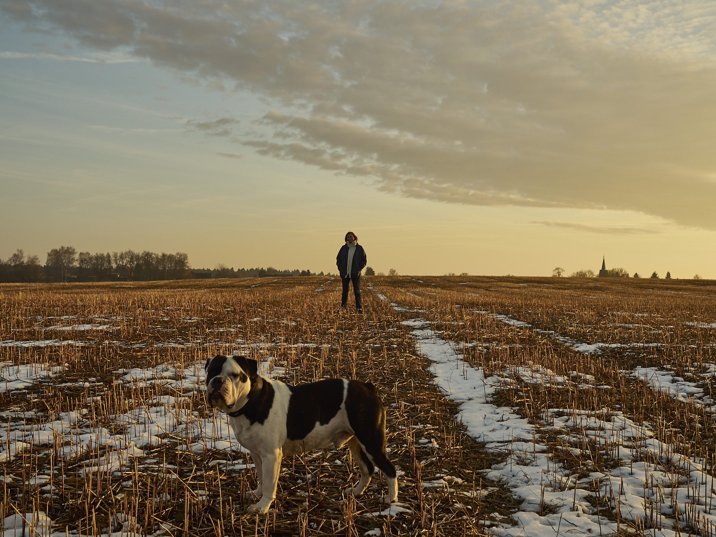 Marlenes Töchter auf dem frostigen feld mit alwin der bulldogge