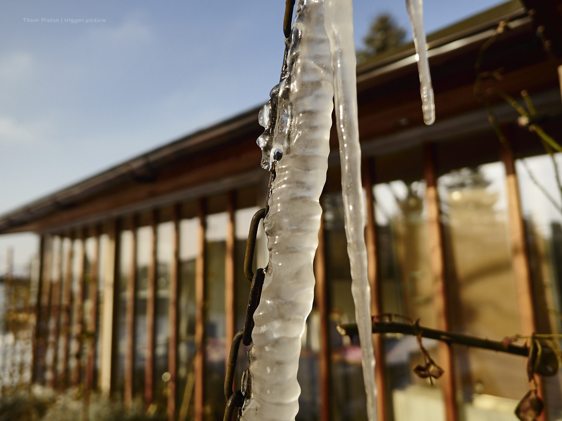 Frost am Dakota Home