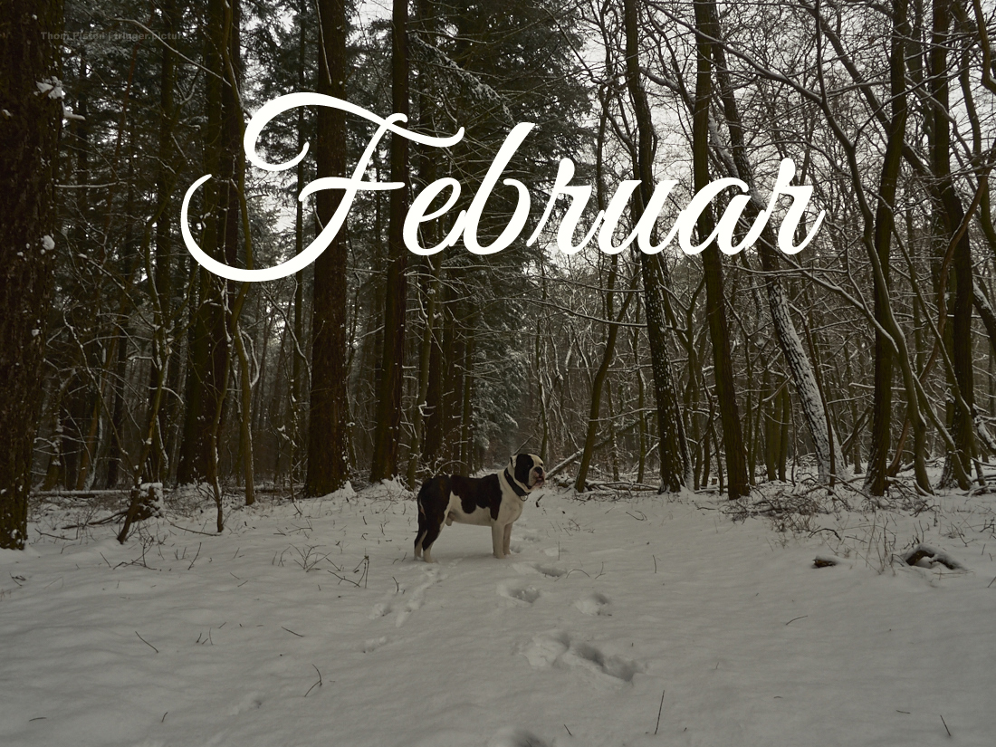 Februar…im Tinyhouse Dakota Home