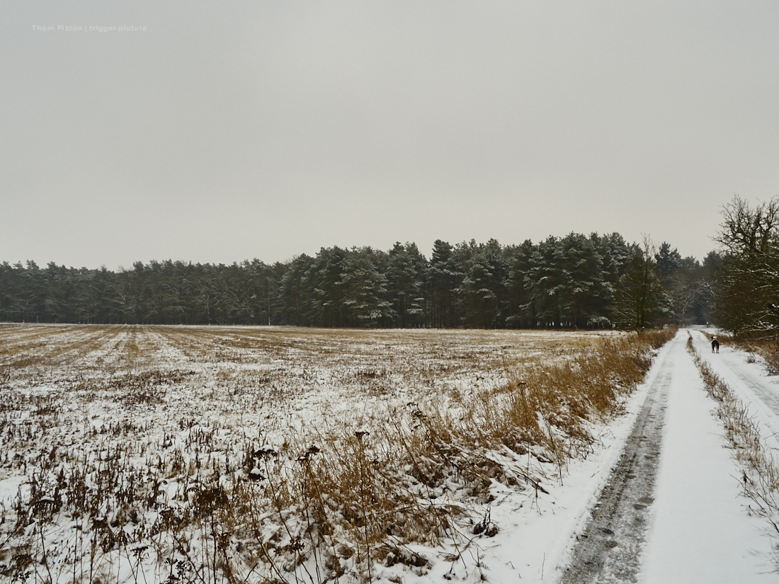 schnee kalt und frostig am dakota home