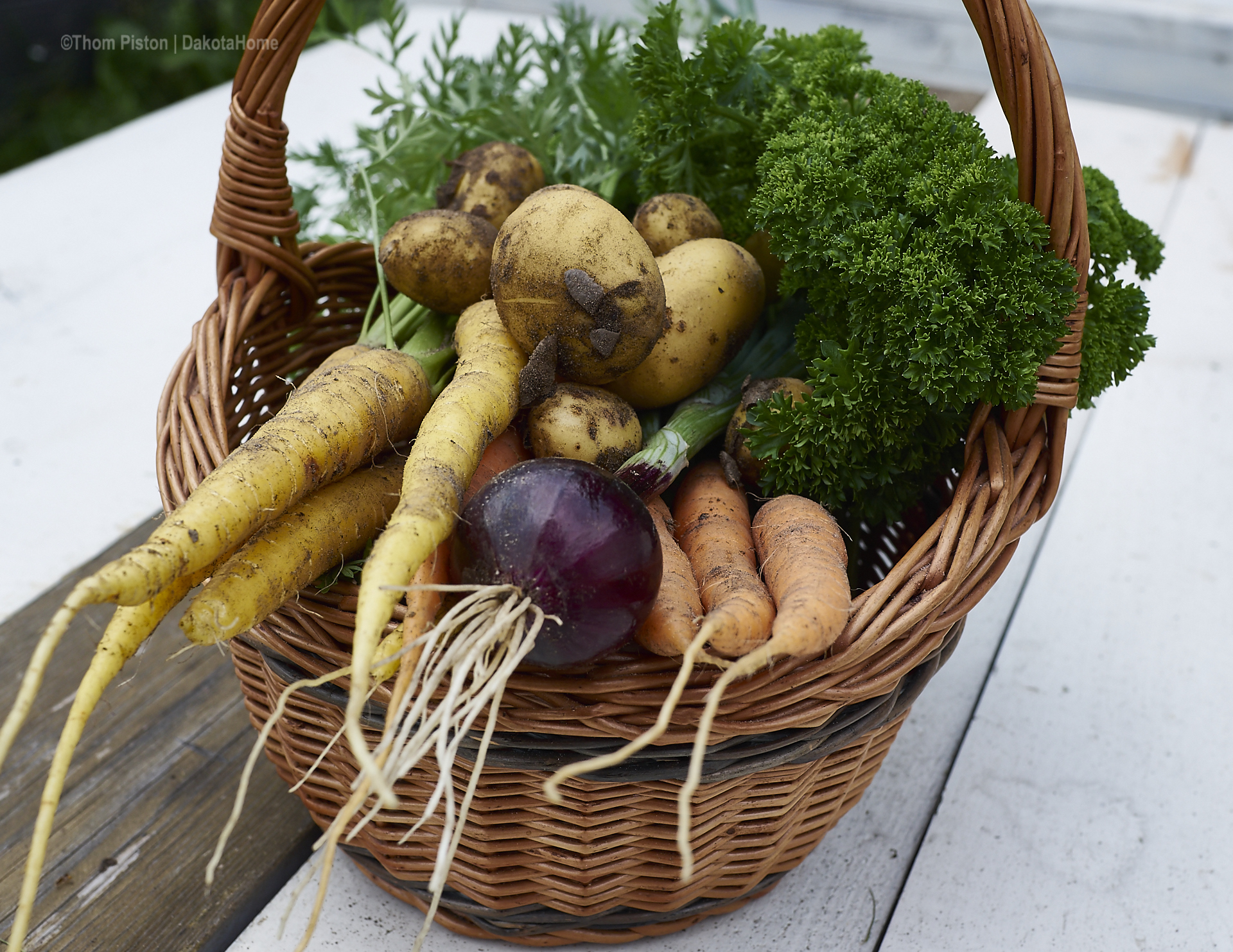 Gurken, Schnecken, Tomaten im Dakota Home