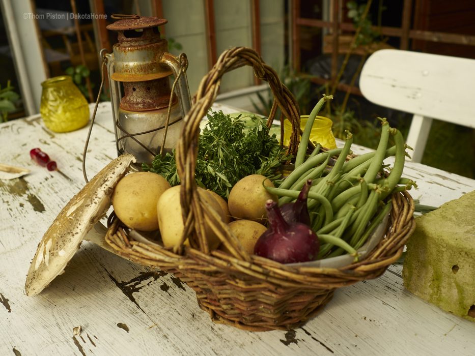 Gemüse aus unserem Garten