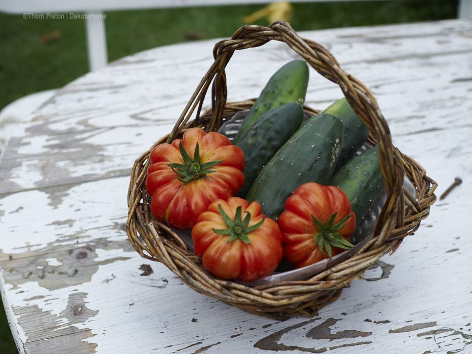 tomaten und gurken aus dem dakota home