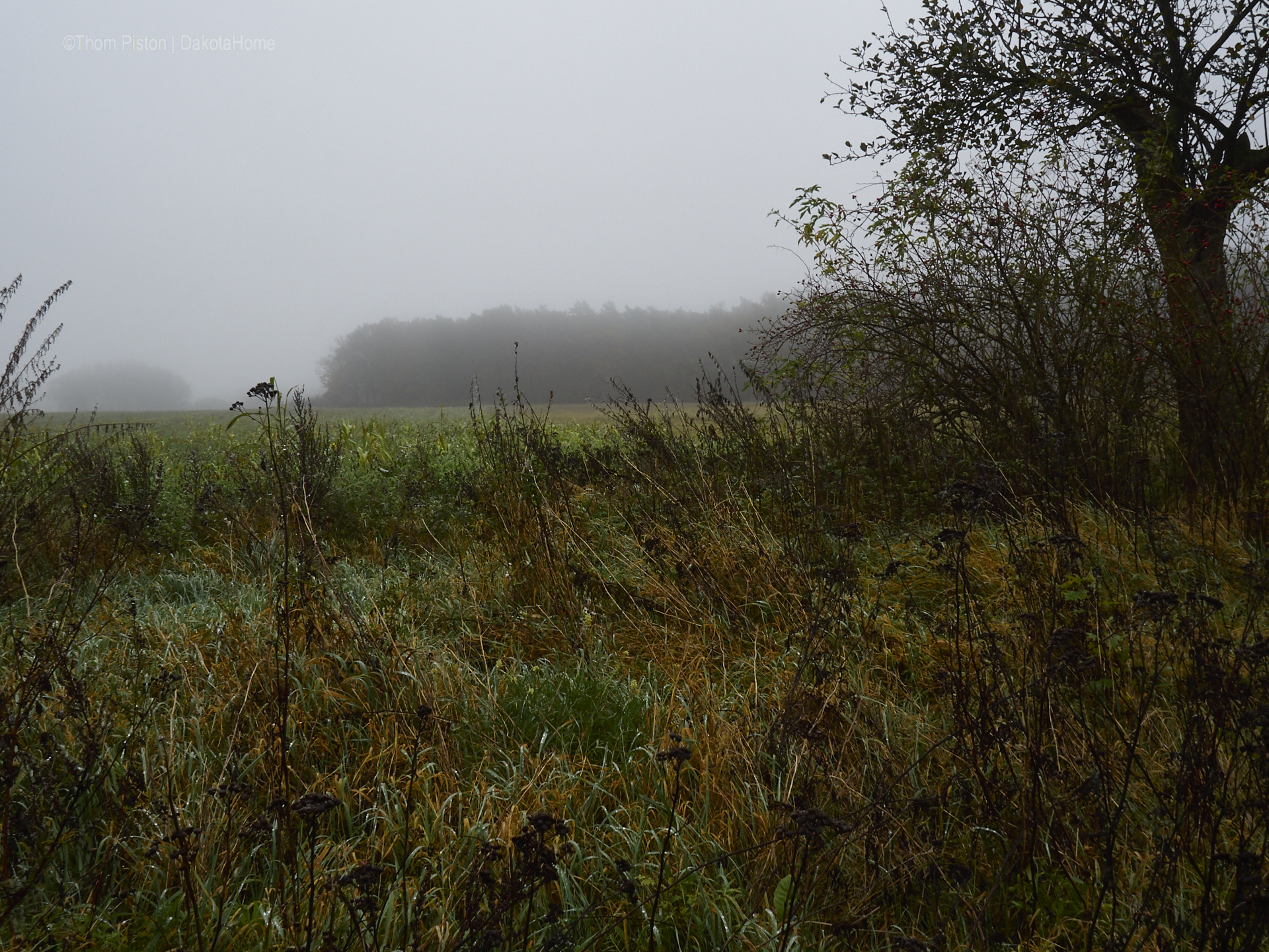 Ende Oktober, jeden Morgen nass und Nebel