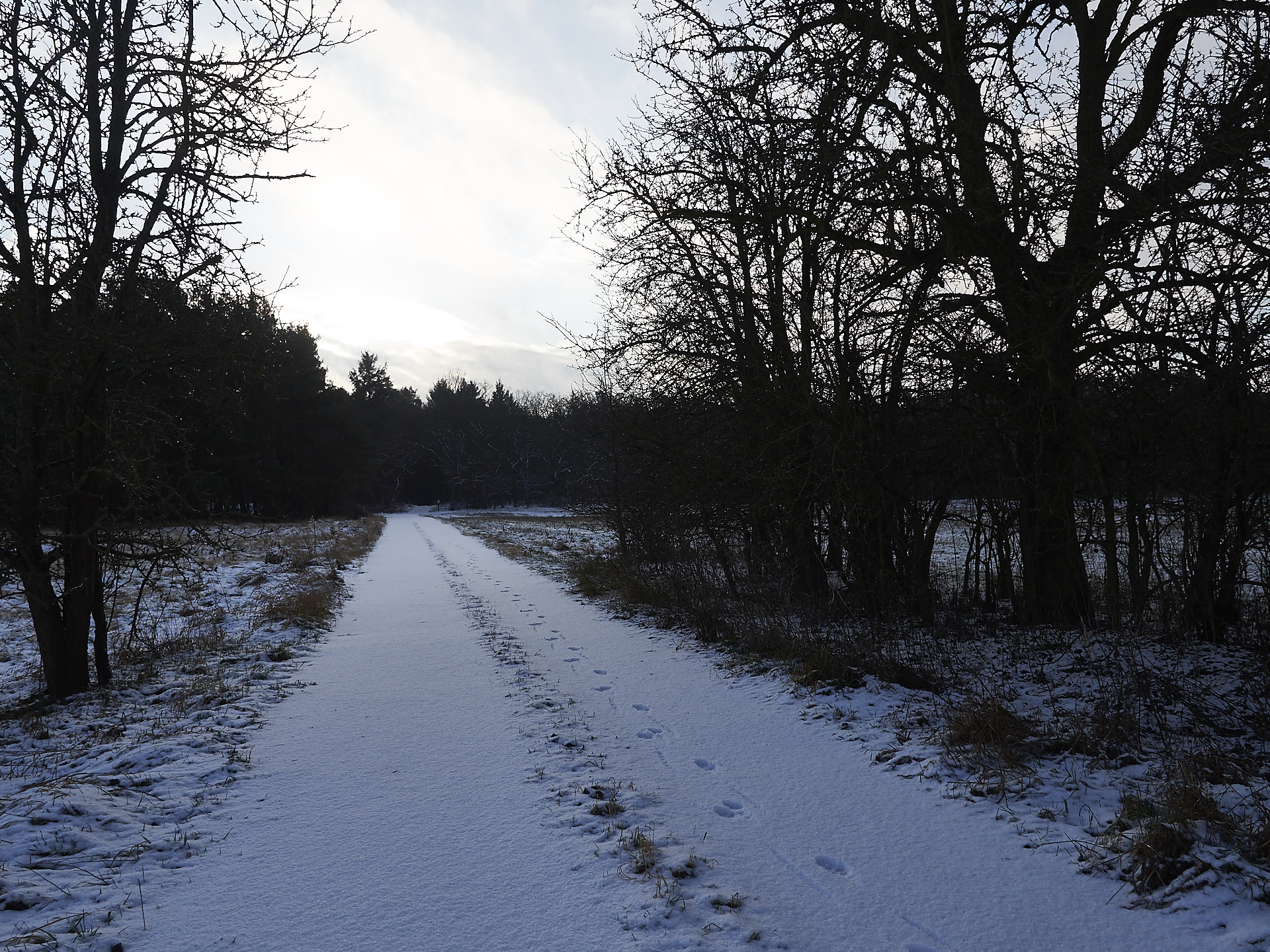 Tage mit Schnee, schöne spaziergänge