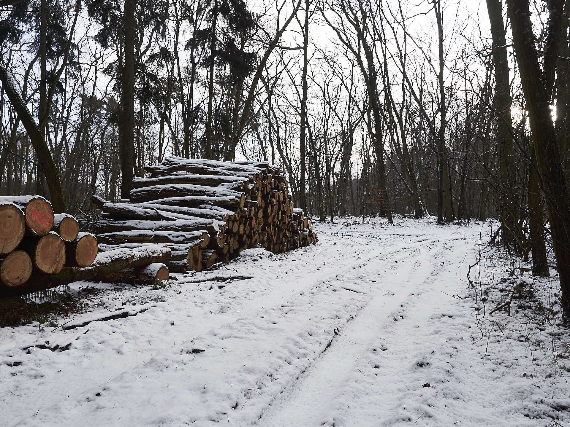 Tage mit Schnee, schöne spaziergänge