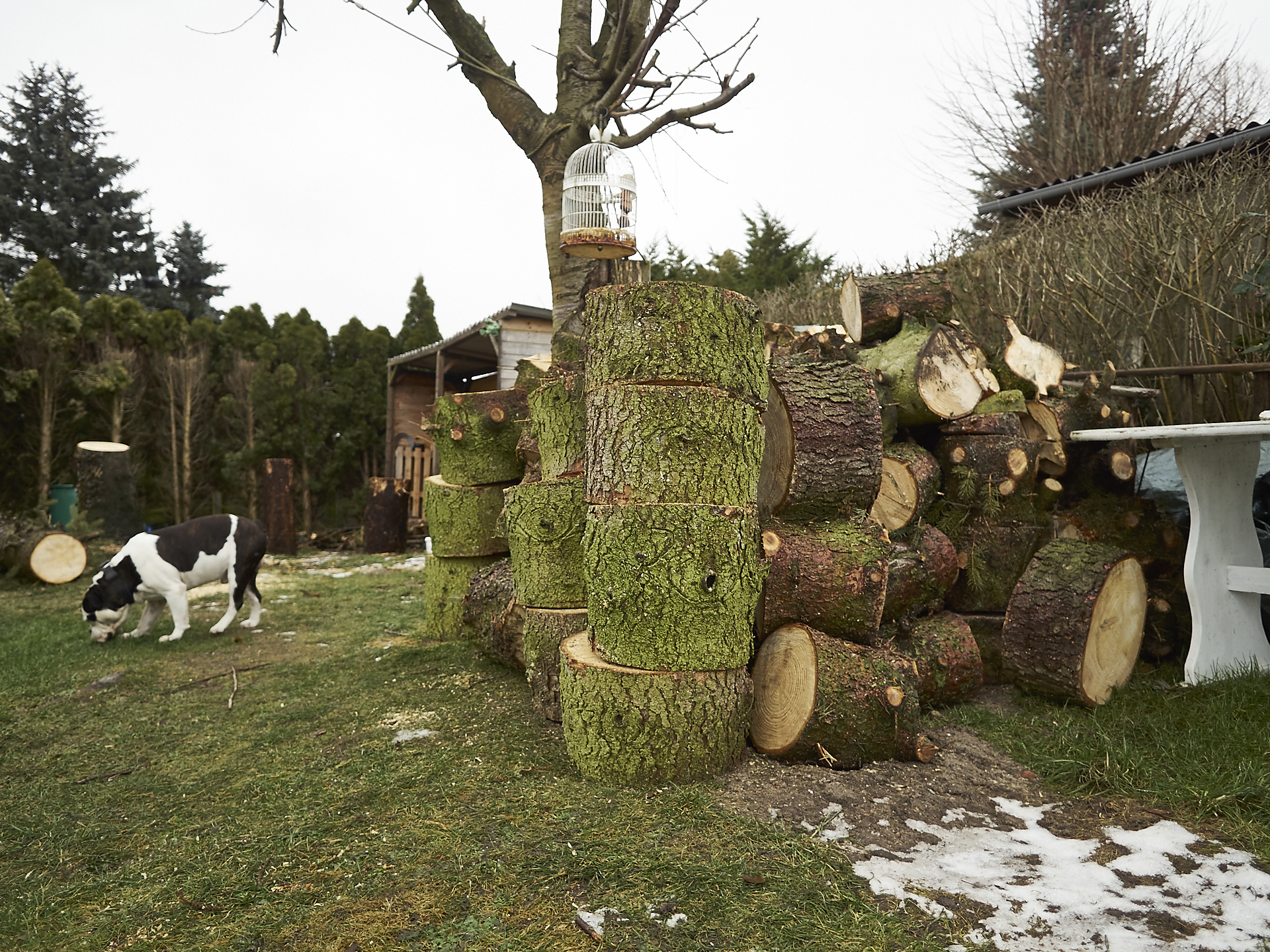 Holz stapeln