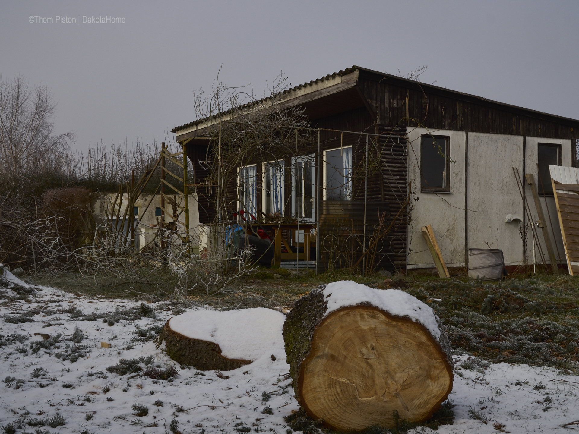 Ponderosa beschnitt