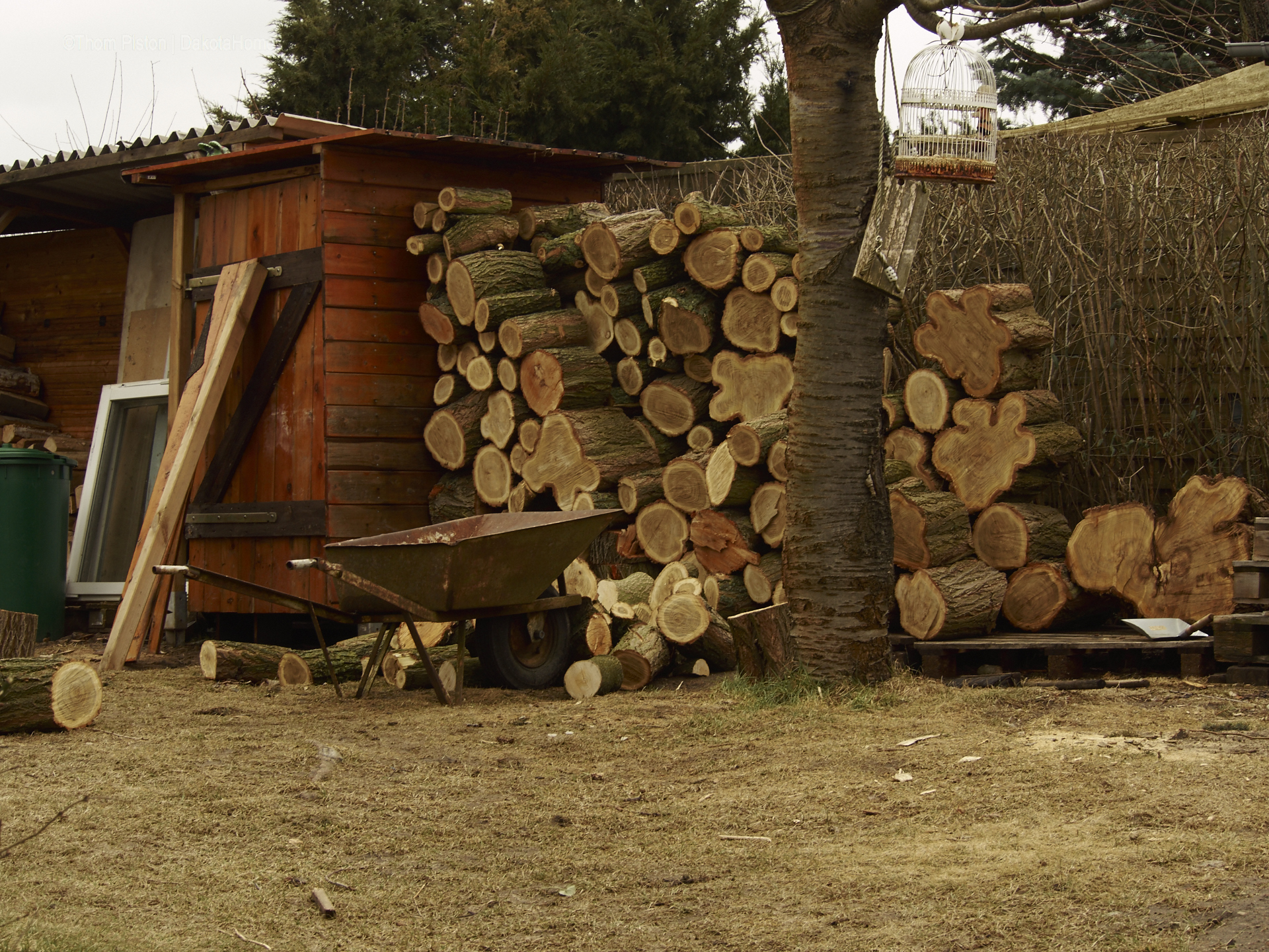 Holzstapel at Dakota Home