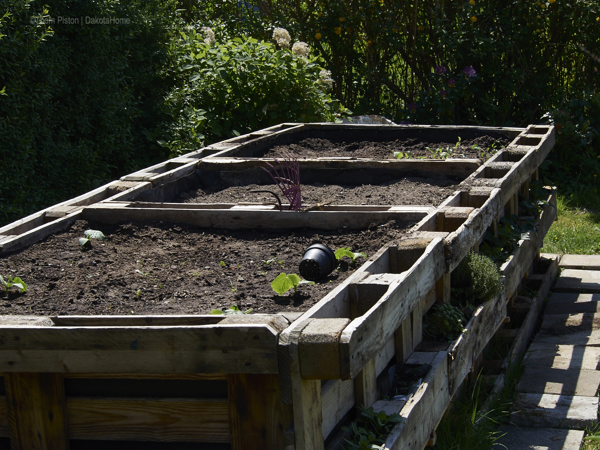 Garten Ponderosa Mai 2018..hochbeet zu dem zeitpunkt noch nicht bestückt