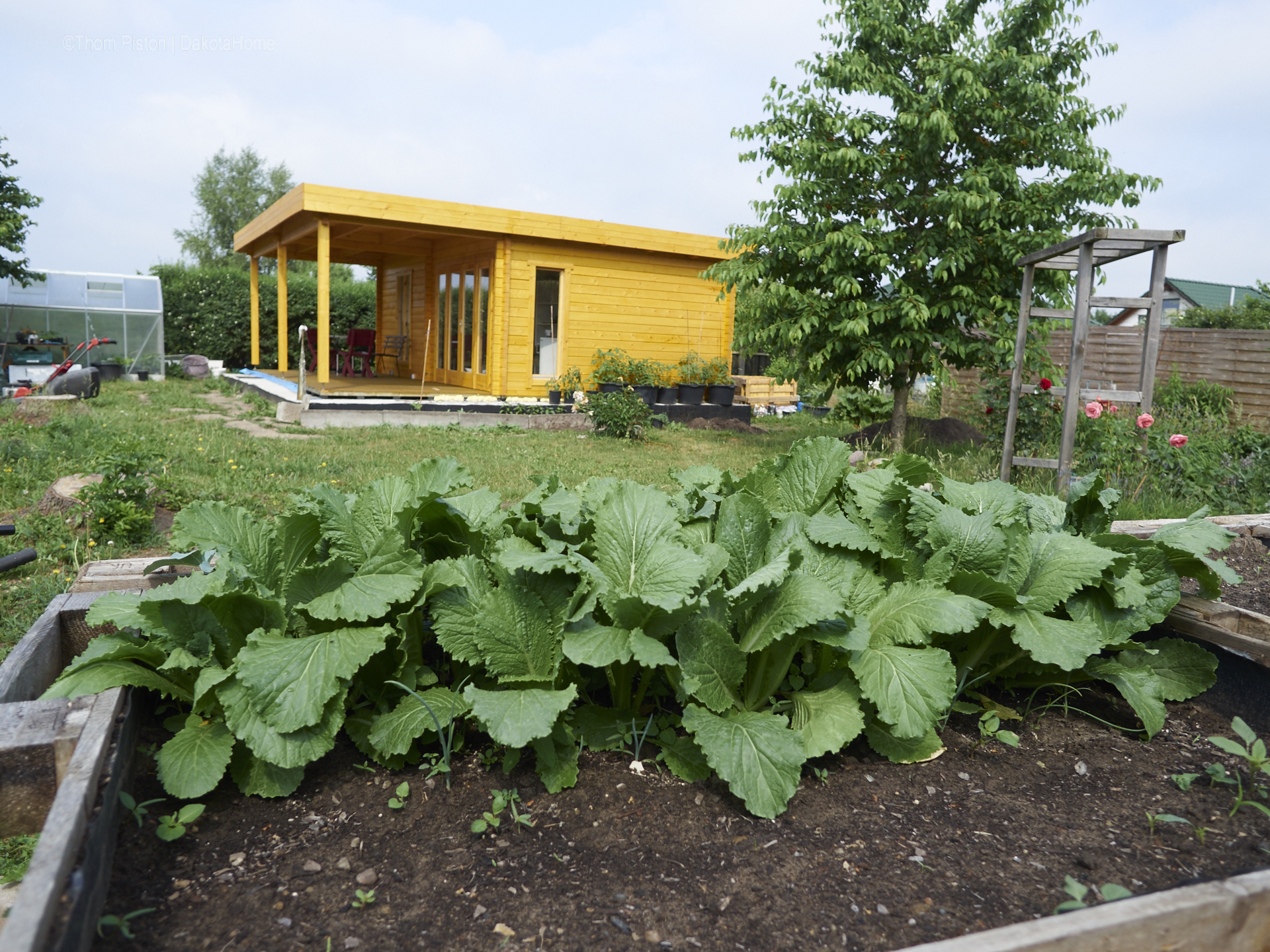 Unser kleiner Garten Anfang Juni 2018, Dakota Home