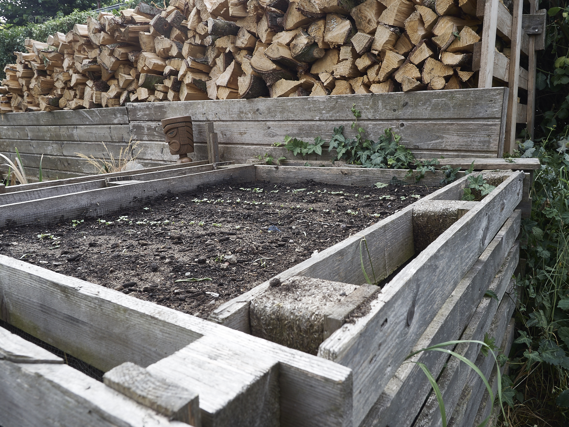 Unser kleiner Garten Anfang Juni 2018, Dakota Home