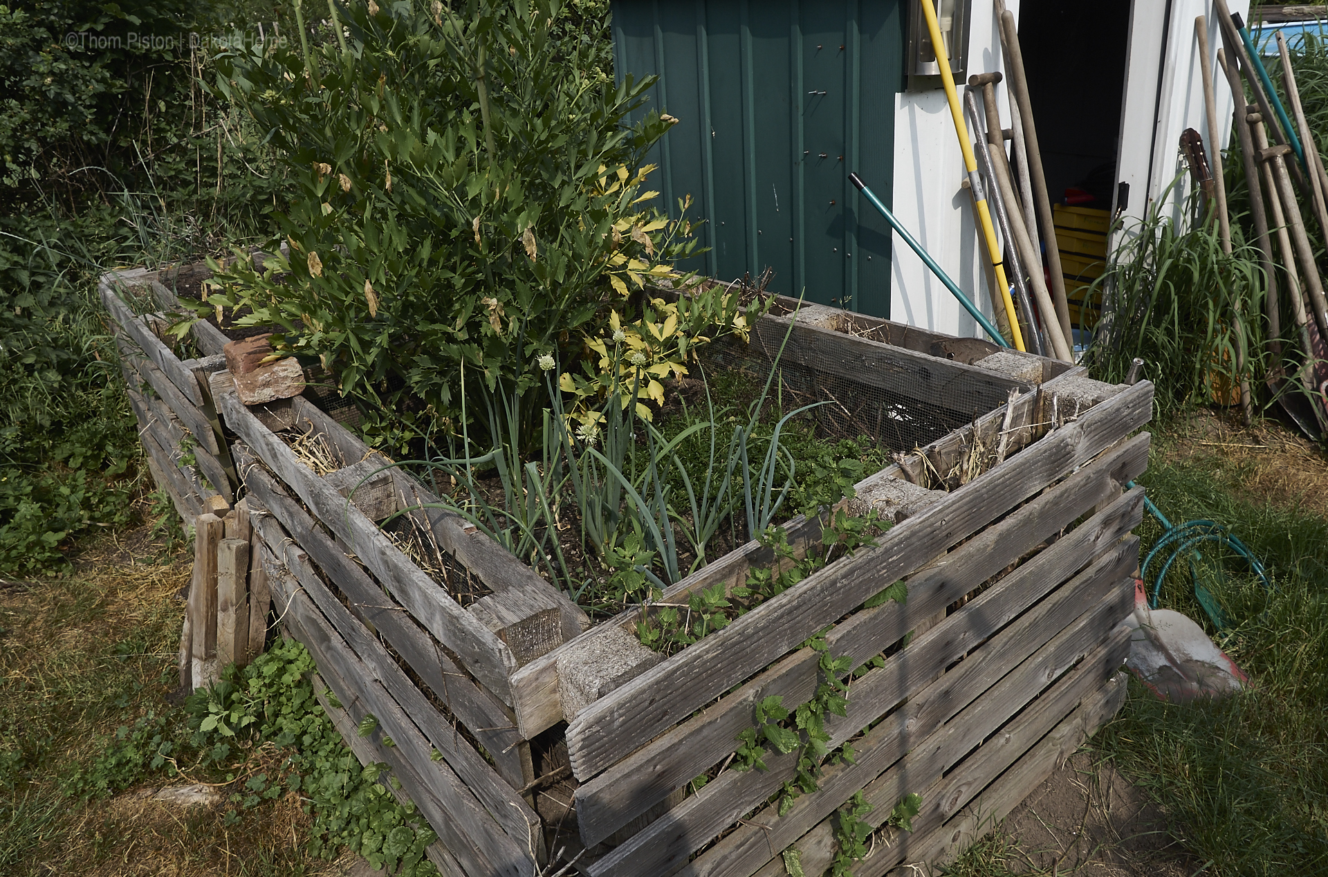 Unser kleiner Garten Anfang Juni 2018, Dakota Home