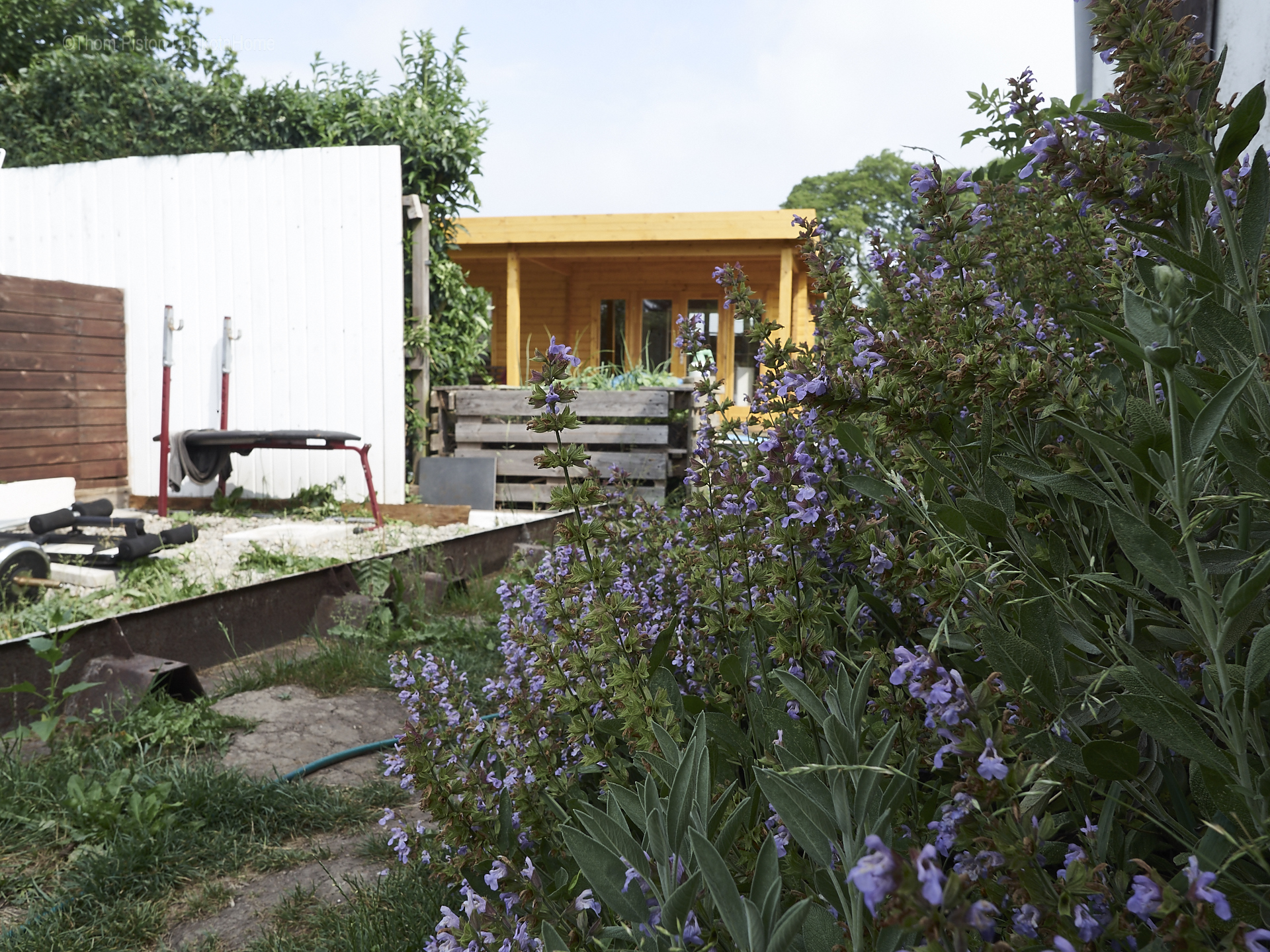 Unser kleiner Garten Anfang Juni 2018, Dakota Home