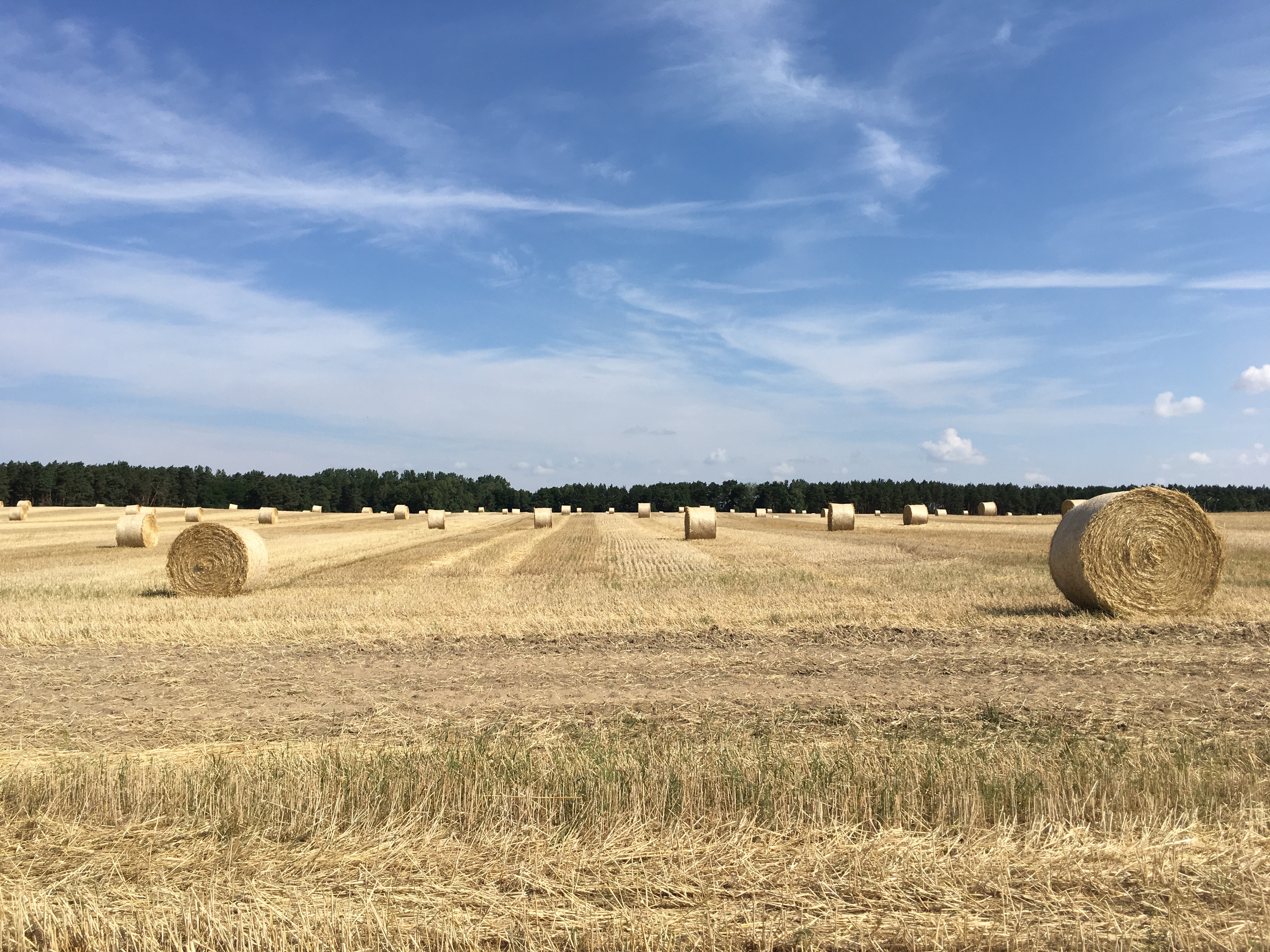 Mitte Juli und JA…man kann sagen Hochsommer