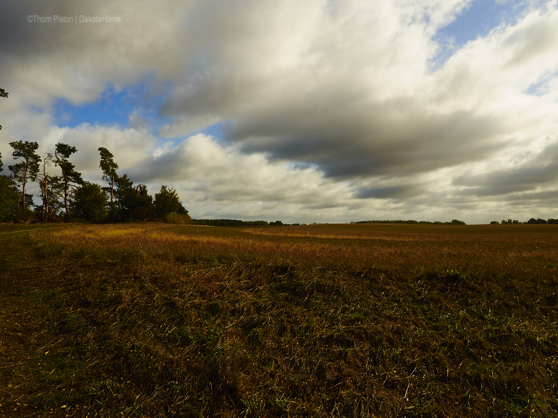 Hallo Herbst am Tinyhouse in Brandenburg