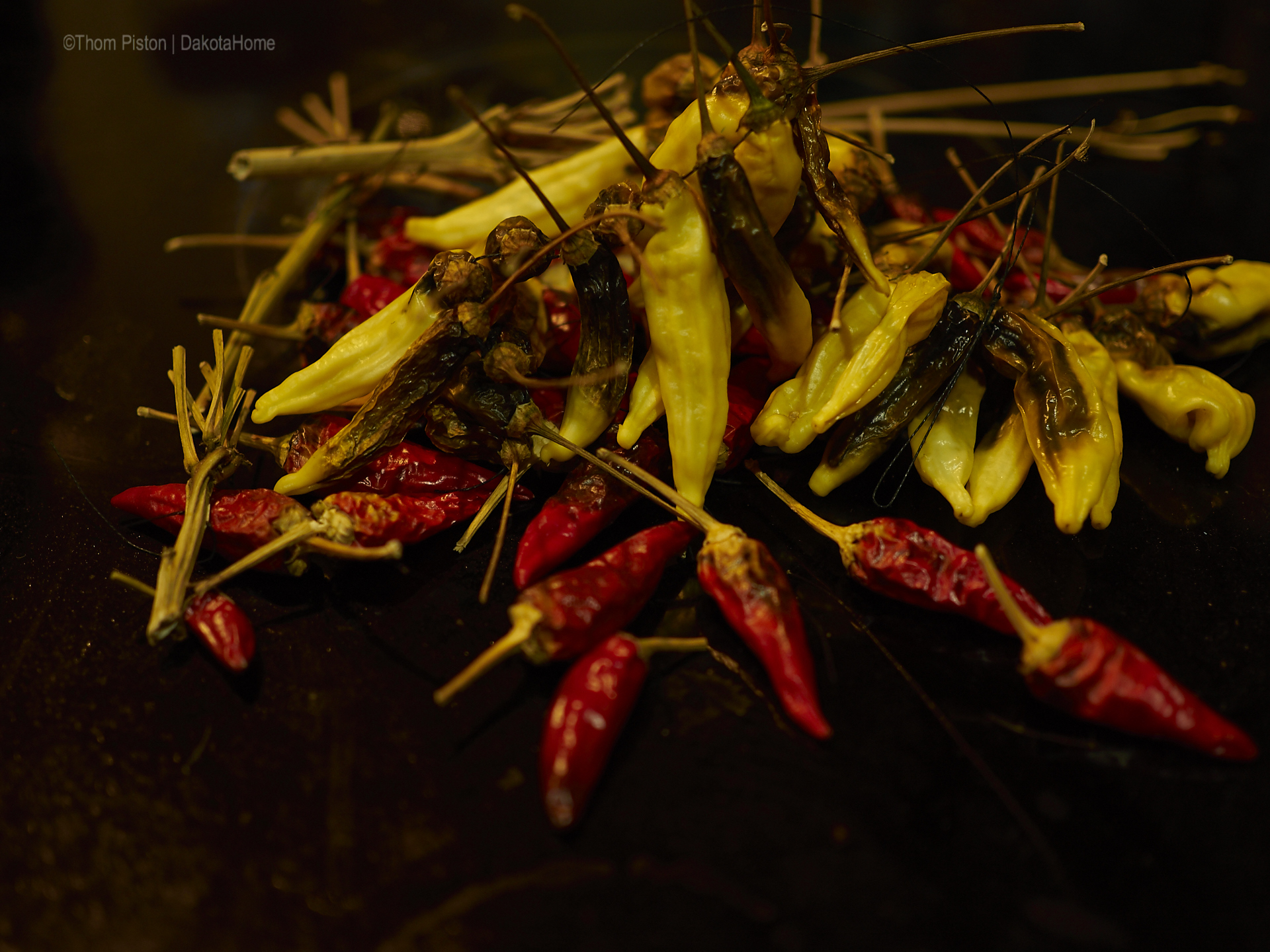 Draussen trocknen Chillis nicht mehr ende Oktober sondern vergammeln..zu nass..