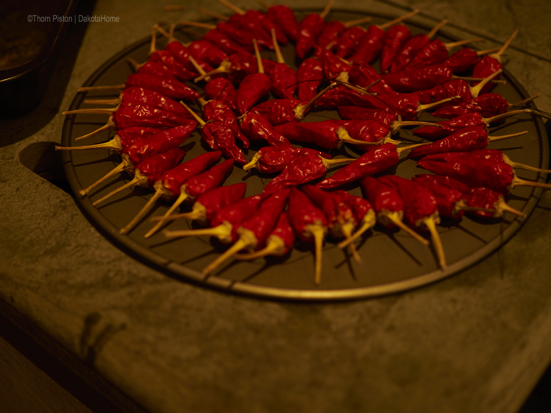 Chillis auf dem Kamin ..trocknen etwas zu schnell...