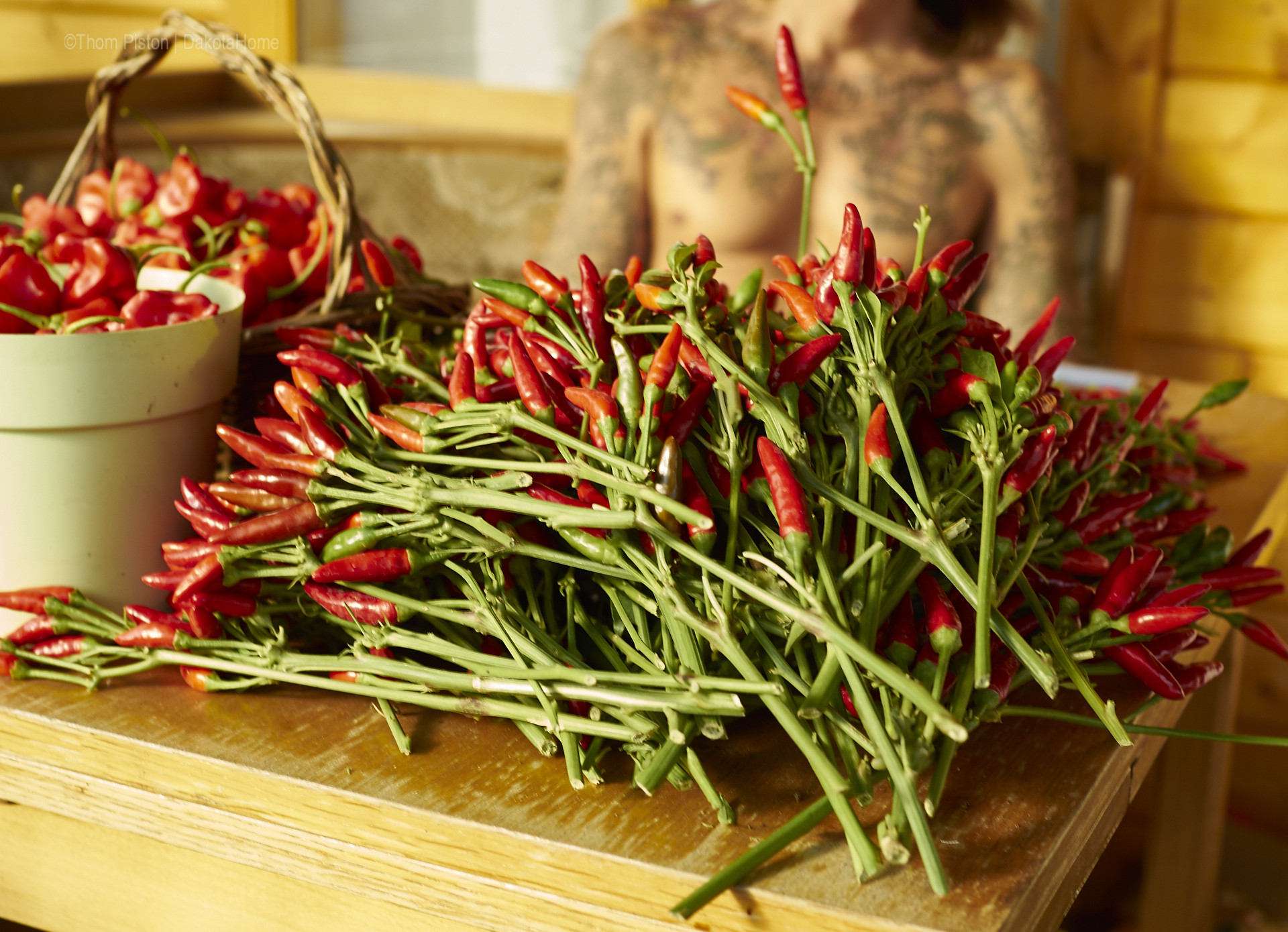 der berüchtigte Chilli Berg...nach ernte nummer 4