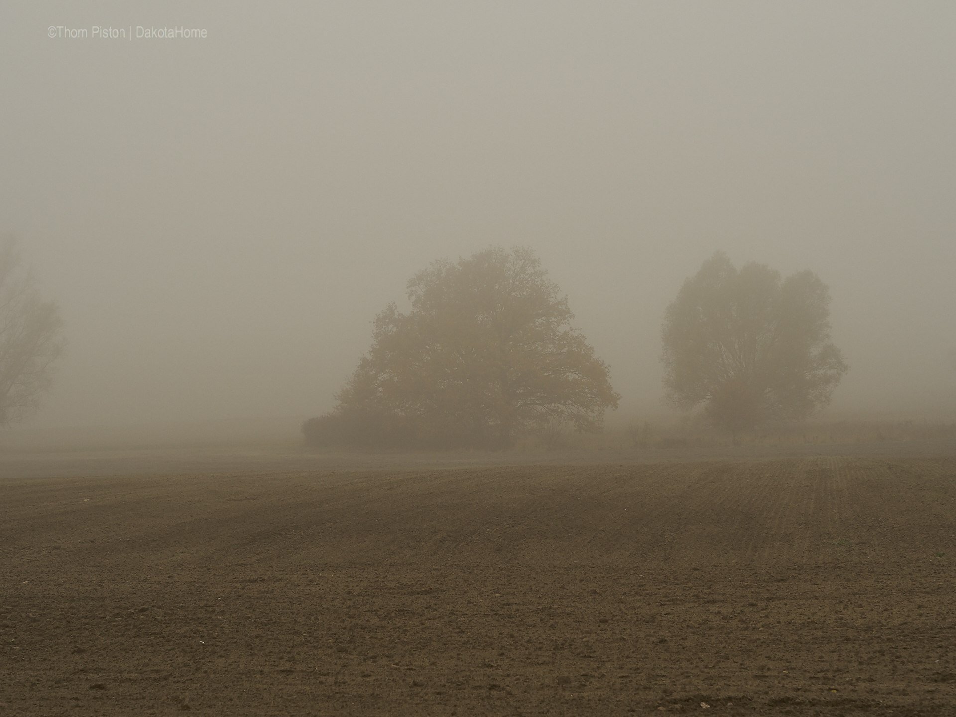 Mitte November, Nebel in Brandenburg