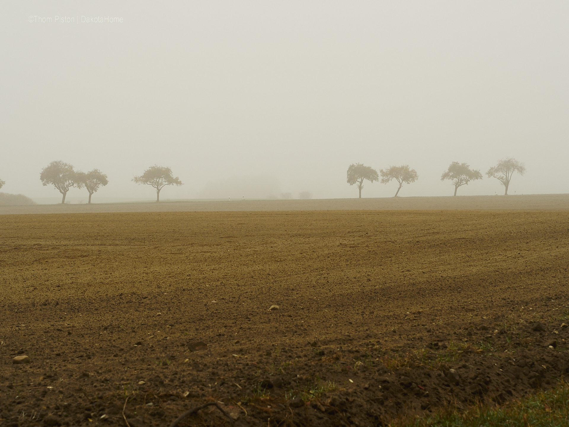 Mitte November, Nebel in Brandenburg