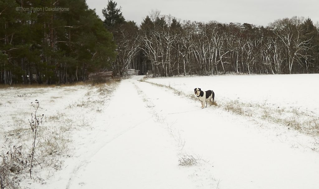 Winter, Anfang Januar 2019 at Dakota Home