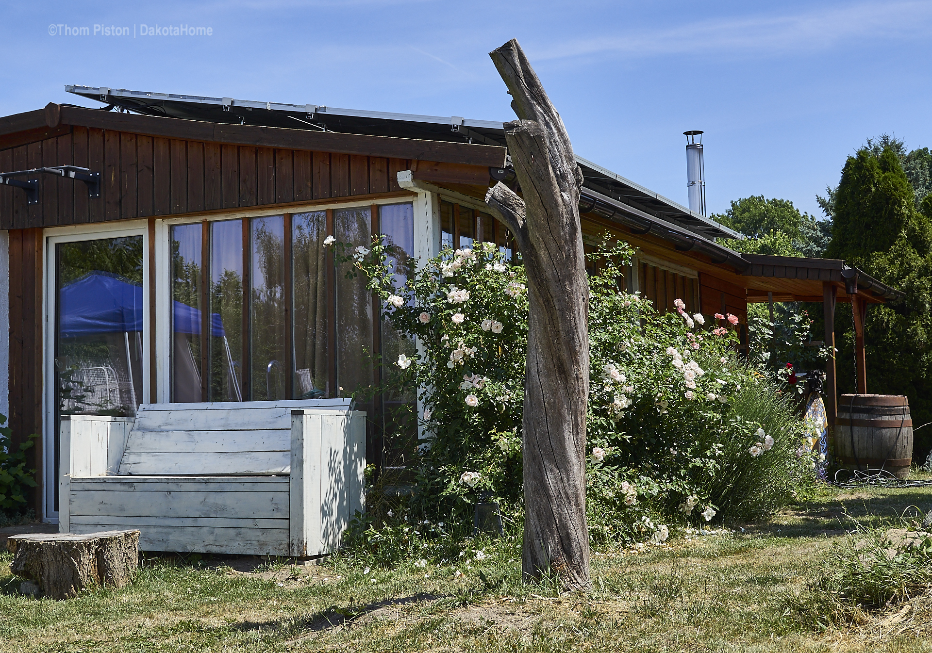 Unsere Rosen at Dakota Home, Juni 2019, Brandenburg