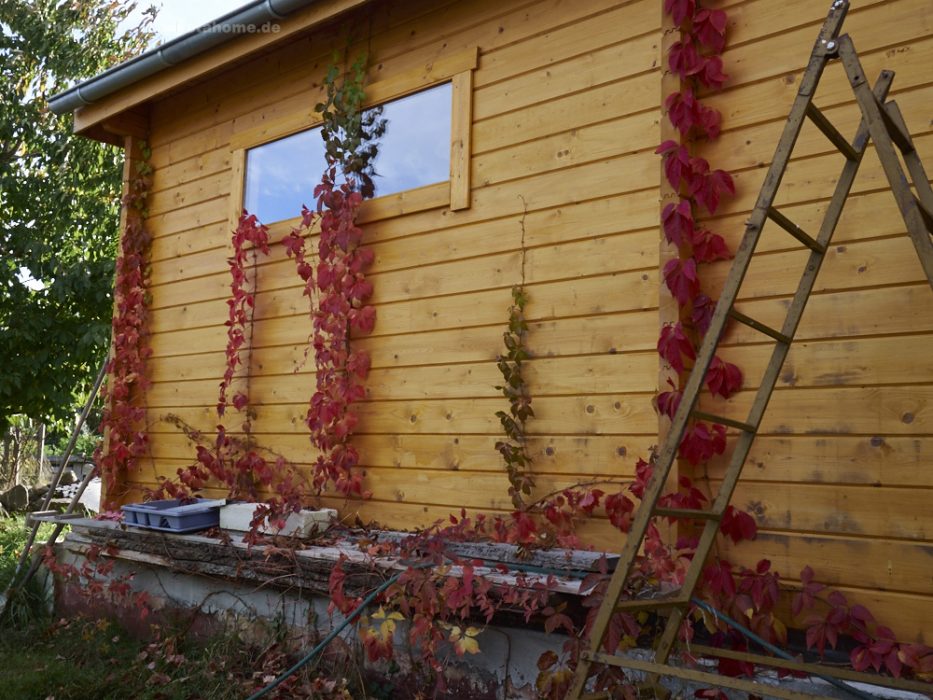 die Ponderosa, begibt sich in den Winterschlaf...sieht des nicht super aus?