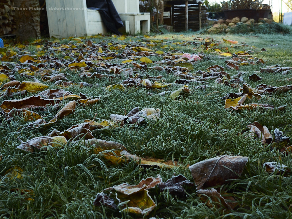 Frost ende Oktober 2019, Brandenbur, Dakota Home