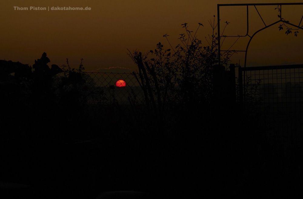 Sonnenuntergang, mitte November,Brandenburg