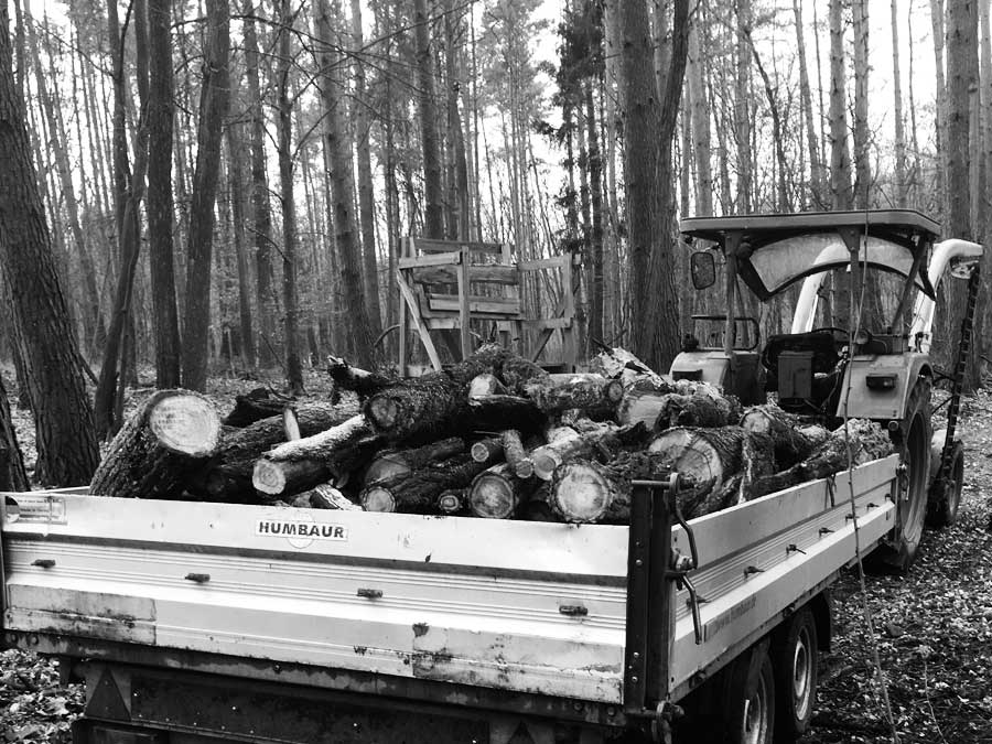 Kamin Holz aus dem Wald selber holen macht zwar Arbeit ist jedoch wesentlich günstiger als zu kaufen