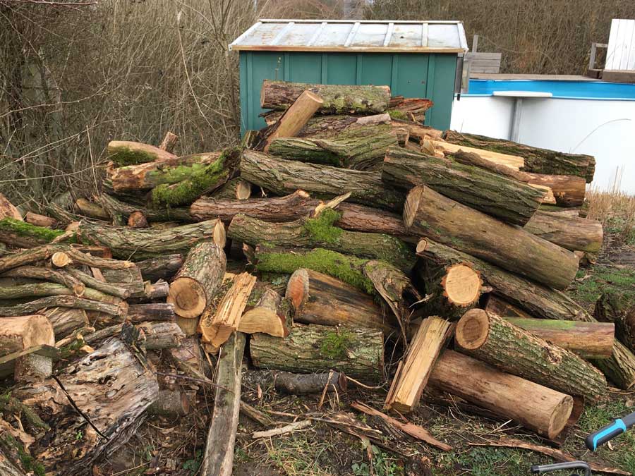 der Holzstapel wird irgendwie nicht weniger, also ran da, 2te Runde