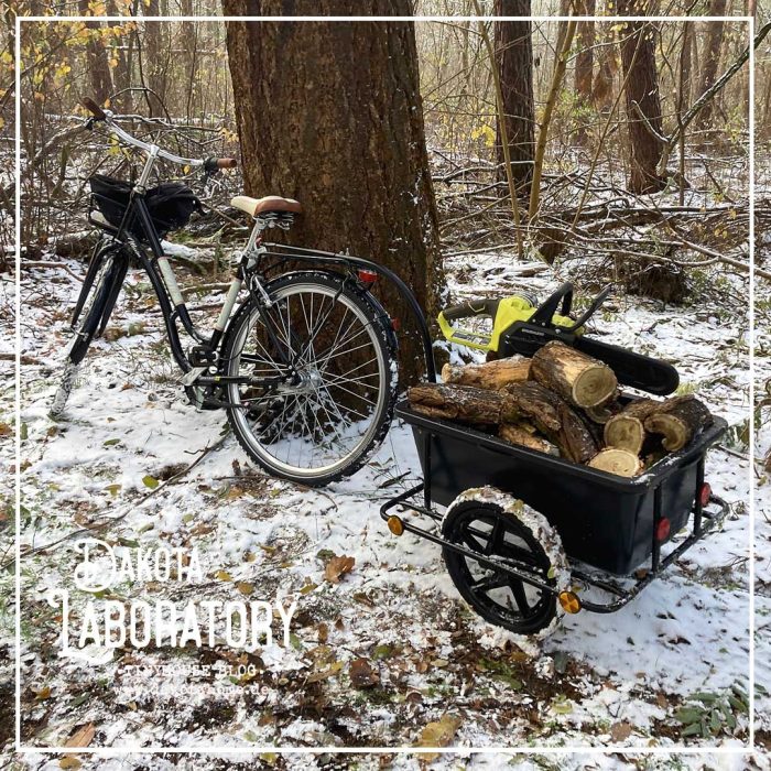 Holz-aus-dem-wald-selbst-holen