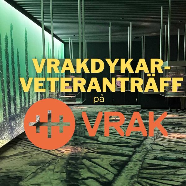 Vrakdykarveteranträff