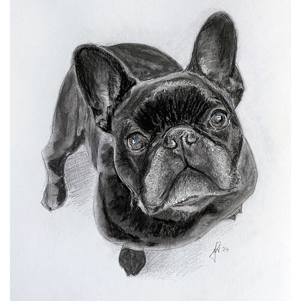 hunde-portraettegning-tegning-af-hund-gaveide-hundeelskeren