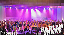 Lees meer over het artikel Pirouette Smart goes Harlem Shake