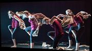 Lees meer over het artikel PIROUETTE IN DE SELECTIE VAN DANCEVIBES 2014