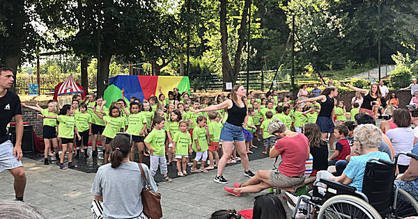 Lees meer over het artikel Zomer stages 2019