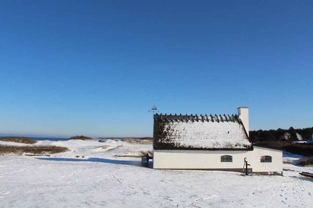 Ishus ved Liseleje Strand  ca. 200 meter fra "Pynten". Foto 5. februar 2015 af Erik K Abrahamsen