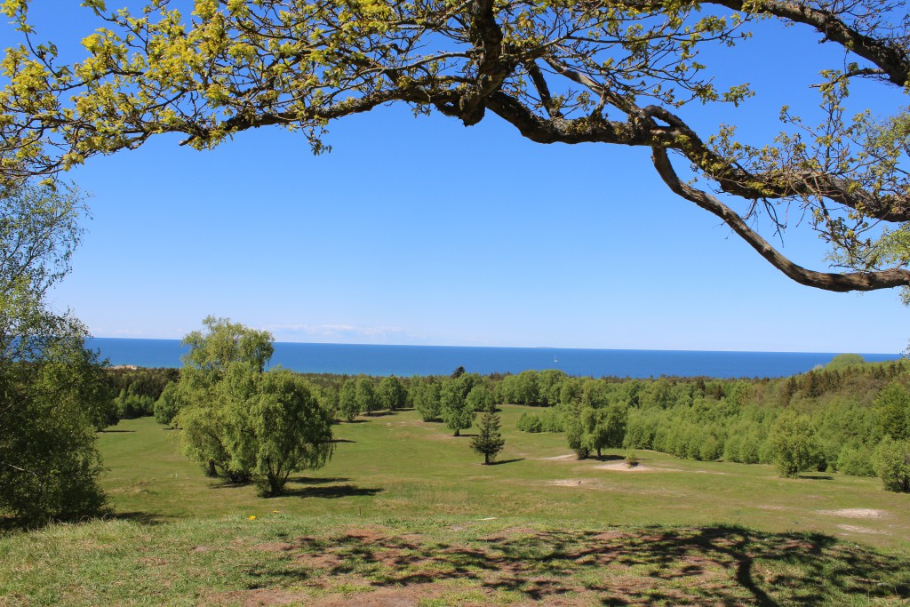 Udsigt mod Kattegat fra toppen af den ene af 2 gravhøje: Harehøjene, Tisvilde Hegn. Foto i retning mord mod Kattegat den 15. maj 2015 af Erik K Abrahamsen