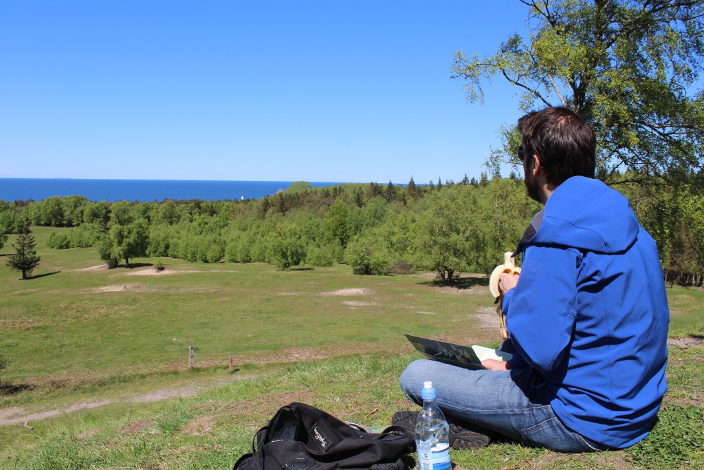 Udsigt fra de 40-50 meter høje kystskrænter ved harehøje, Tisvilde Hegn. Foto den 15. maj 2015 af