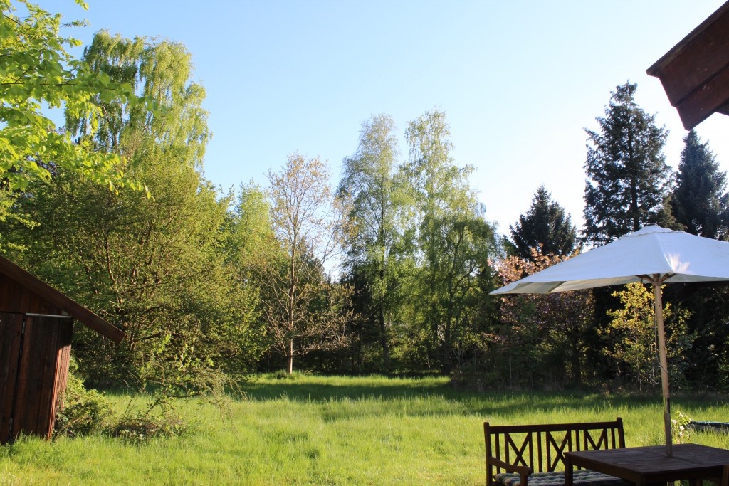 Min have i mit hus i Melby, Nordsjælland. Foto den 15. maj 2015 af Erik K Abrahamsen