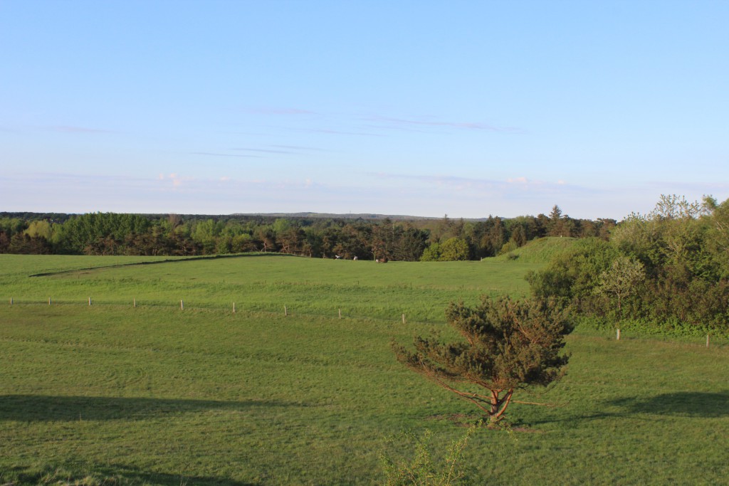 Udsigt fra Syv-høje i melby mod Tisvilde Hegn med Kattegat Kyst og Tisvildeleje helt ude i horisonten, Foto den 15. maj 2015 af Erik K Abrahamsen